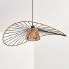 Elsa Hanglamp, Hanglamp Zwart, 1-licht