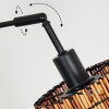 Cando Staande lamp Zwart, 3-lichts