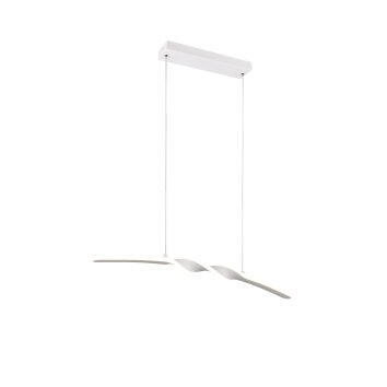 Reality Ginko Hanglamp LED Wit, 1-licht