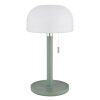 Paddenstoel look  Globo Norman Tafellamp LED Groen, 1-licht