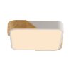 Lichten Direct BILA Plafondlamp LED Wit, 1-licht