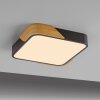 Lichten Direct BILA Plafondlamp LED Zwart, 1-licht