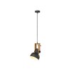 Lichten Direct 2.0 Hanglamp LED Bruin, Zwart, 1-licht