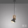 Lichten Direct 2.0 Hanglamp LED Bruin, Zwart, 1-licht