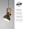 Lichten Direct 2.0 Hanglamp LED Bruin, Zwart, 1-licht