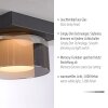 Paul Neuhaus Verlichting Rika Plafondlamp LED Zwart, 1-licht