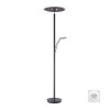 Paul Neuhaus Verlichting Artur Staande lamp LED Antraciet, 2-lichts