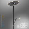 Paul Neuhaus Verlichting Artur Staande lamp LED Antraciet, 2-lichts