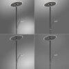 Paul Neuhaus Verlichting Artur Staande lamp LED Antraciet, 2-lichts