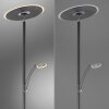 Paul Neuhaus Verlichting Artur Staande lamp LED Antraciet, 2-lichts