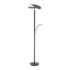 Paul Neuhaus Verlichting Artur Staande lamp LED Antraciet, 2-lichts