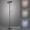 Paul Neuhaus Verlichting Artur Staande lamp LED Antraciet, 2-lichts