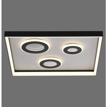 Paul Neuhaus Verlichting Dune Plafondlamp LED Zwart, 1-licht, Afstandsbediening