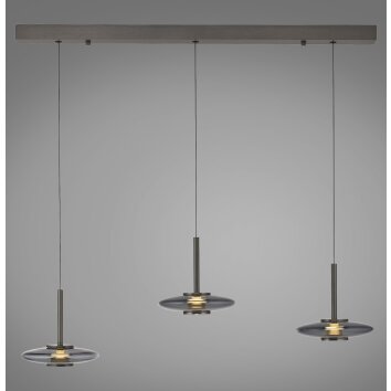 Paul Neuhaus Verlichting Vitrum Hanglamp LED Grijs, 6-lichts