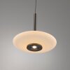 Paul Neuhaus Verlichting Vitrum Hanglamp LED Bruin, 6-lichts