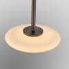 Paul Neuhaus Verlichting Vitrum Hanglamp LED Bruin, 6-lichts