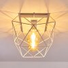 Babol Plafondlamp Wit, 2-lichts