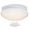 Brilliant Fakir Muur en plafond verlichting LED Wit, 1-licht, Bewegingsmelder