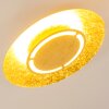 Mala Plafondlamp LED Goud, 1-licht