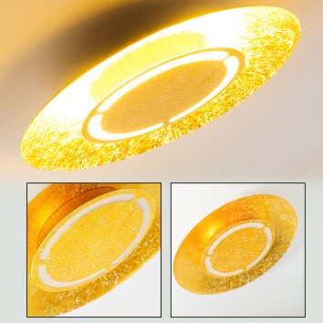 Mala Plafondlamp LED Goud, 1-licht