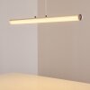 Flaut Hanglamp LED Chroom, 1-licht, Afstandsbediening, Kleurwisselaar