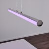 Flaut Hanglamp LED Chroom, 1-licht, Afstandsbediening, Kleurwisselaar