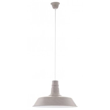 Eglo SOMERTON Hanglamp Grijs, Wit, 1-licht