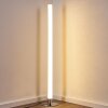 Flaut Staande lamp LED Chroom, 1-licht, Afstandsbediening, Kleurwisselaar