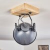 Svanfolk Plafondlamp Blauw, Bruin, Grijs, Wit, 1-licht