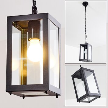 Caudry Buitenhanglamp Zwart, 1-licht