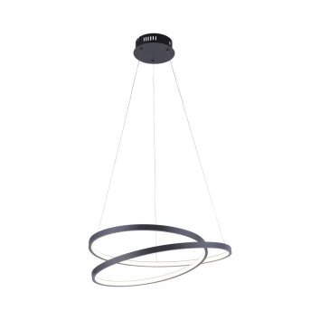 Paul Neuhaus ROMAN Hanglamp LED Zwart, 1-licht