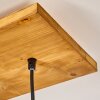 Shiburg Hanglamp Hout licht, 4-lichts