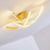 Aranu Plafondlamp LED Goud, 4-lichts