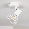 Holbol Plafondlamp Wit, 1-licht