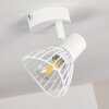 Holbol Plafondlamp Wit, 1-licht