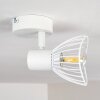 Holbol Plafondlamp Wit, 1-licht