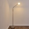 Gulkana Staande lamp LED Nikkel mat, 1-licht, Kleurwisselaar