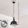 Ilvy Hanger LED Zwart, 1-licht