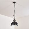 Ilvy Hanger LED Zwart, 1-licht