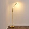 Gulkana Staande lamp LED Goud, 1-licht