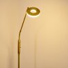 Gulkana Staande lamp LED Goud, 1-licht