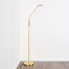 Gulkana Staande lamp LED Goud, 1-licht