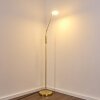 Gulkana Staande lamp LED Goud, 1-licht