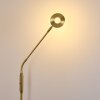 Gulkana Staande lamp LED Goud, 1-licht