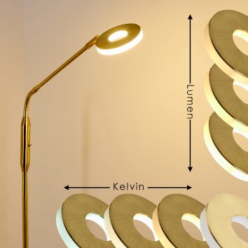 Gulkana Staande lamp LED Goud, 1-licht