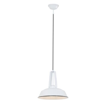 Steinhauer Mexlite Hanglamp Wit, 1-licht