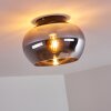 Molloy Plafondlamp Chroom, Rookkleurig, 1-licht