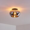 Molloy Plafondlamp Chroom, Rookkleurig, 1-licht