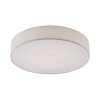 Paul Neuhaus Q-KIARA Plafondlamp LED Wit, 1-licht, Afstandsbediening