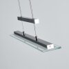 Junsele Hanglamp LED Nikkel mat, 3-lichts